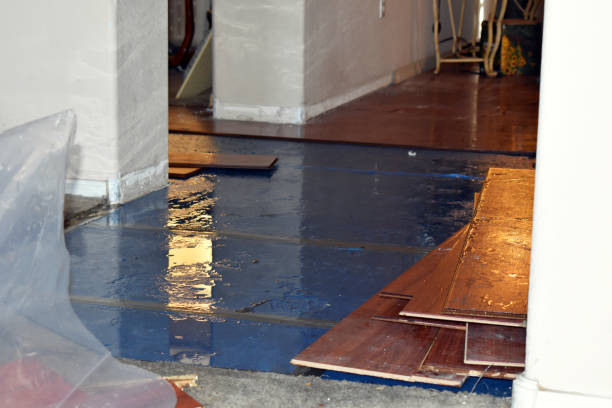 Professional Basement Flooding technician working in Deerfield, MI